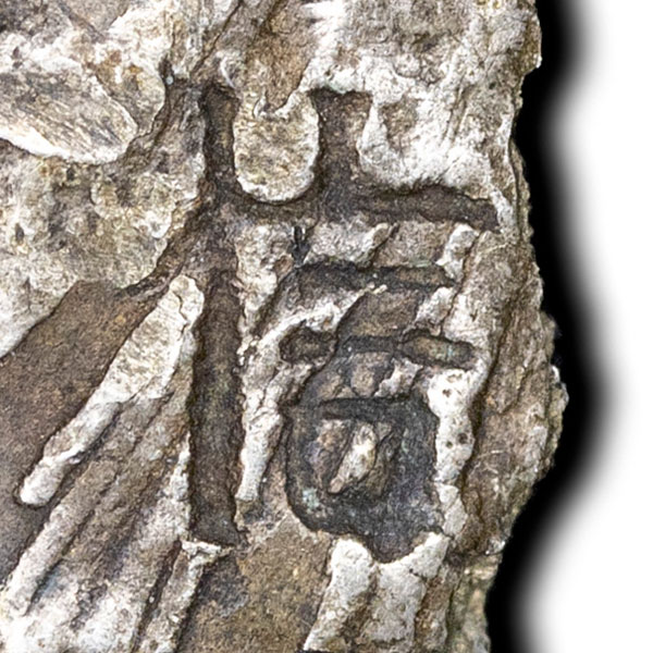信 - xìn - trust, letter, believe