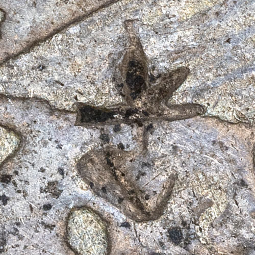 Unknown chopmark
