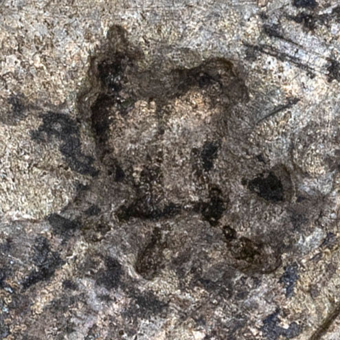 Unknown chopmark