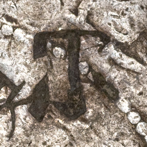 𡭕 - (ancient form of 示) shì - to show, to manifest, to reveal, the ancient form of 示 given in the 玉篇 (Yupian); 示 is also Kangxi radical 113, the 正字通 (Zhengzitong) writes the same character as 𥘅 and treats its filing under the 小 radical as a later error