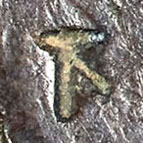 下 - xià - below, down, under, (丅 is the simplified or ancient version)