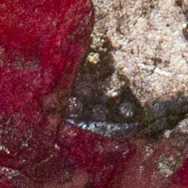 Small 6-dot triangle chopmark