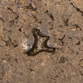 Unknown mark