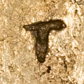 Unknown chopmark