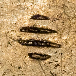 Unknown symbol chopmark