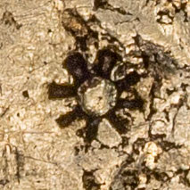 Small sunburst chopmark