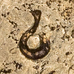Unknown symbol chop