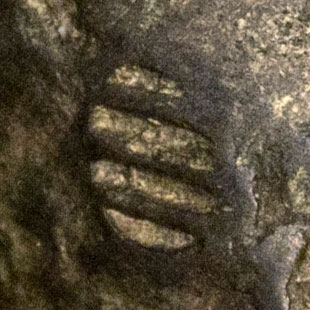 Unknown symbol