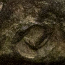 Unknown symbol