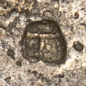 丅 - (ancient version of 下) xià - below, down, under