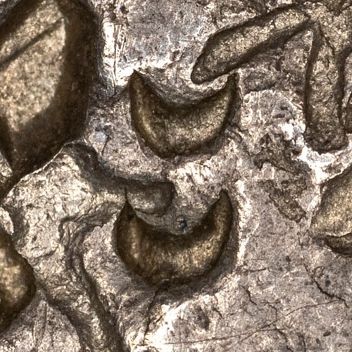 月 - Liushutong script variant of 月 - yuè - moon, month