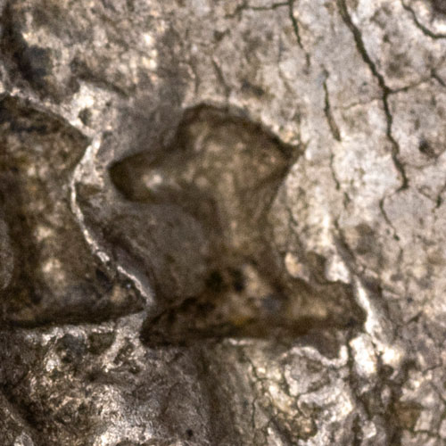 Possibly 土 - tǔ - earth, soil, land, Kangxi radical 32