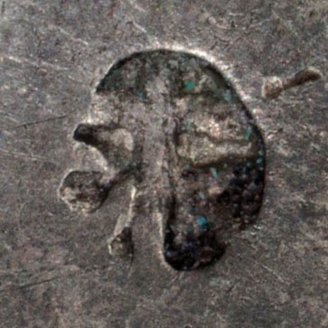 Possibly 木 - mù - tree, wood, Japanese Kanji radical 75