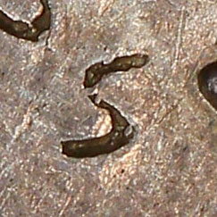Small, 'S' shaped chopmark, punched multiple times close together