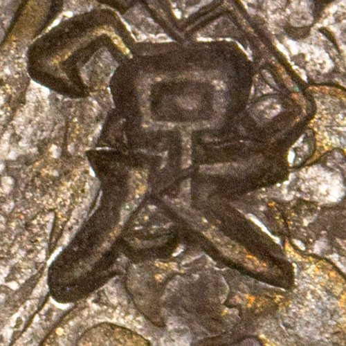 足 - zú - foot, sufficient