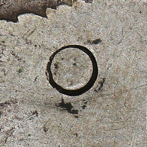 Medium sized circular chopmark
