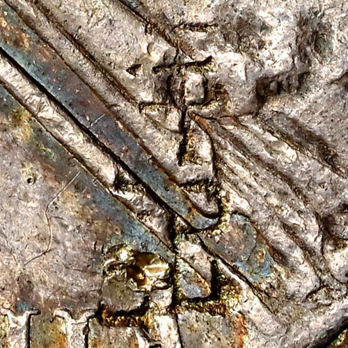 Large, complex partial chopmark