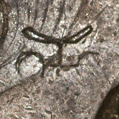Unknown partial chopmark