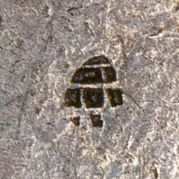 Small unknown chopmark