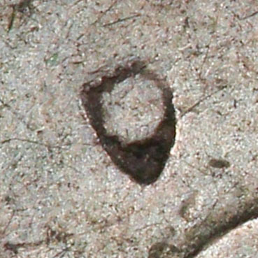 Small partial chopmark