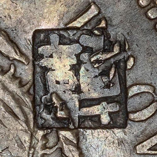 Unknown complex chopmark