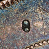 Two dots symbol chopmark