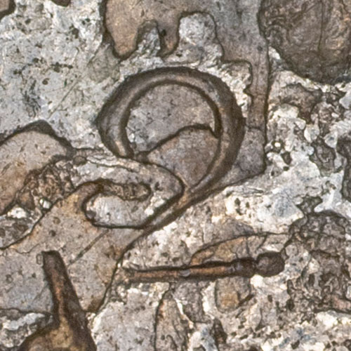 2 - number chopmark - A numeral used as a chopmark. Number marks on foreign trade coins were most likely tally, batch, or accounting marks applied by a merchant or money shop to keep count of coins as they were weighed, bagged, or inspected. The specific reference behind an individual digit is generally not identifiable.