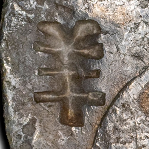 羊 - yáng - a sheep, surname Yang