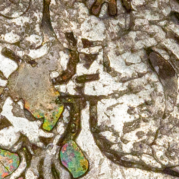 Unknown chopmark