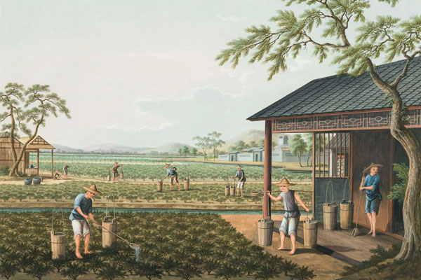 Production of Goods