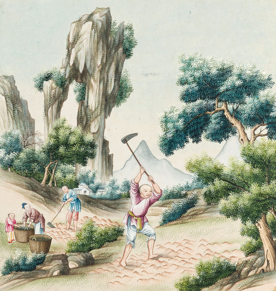 Porcelain manufacture