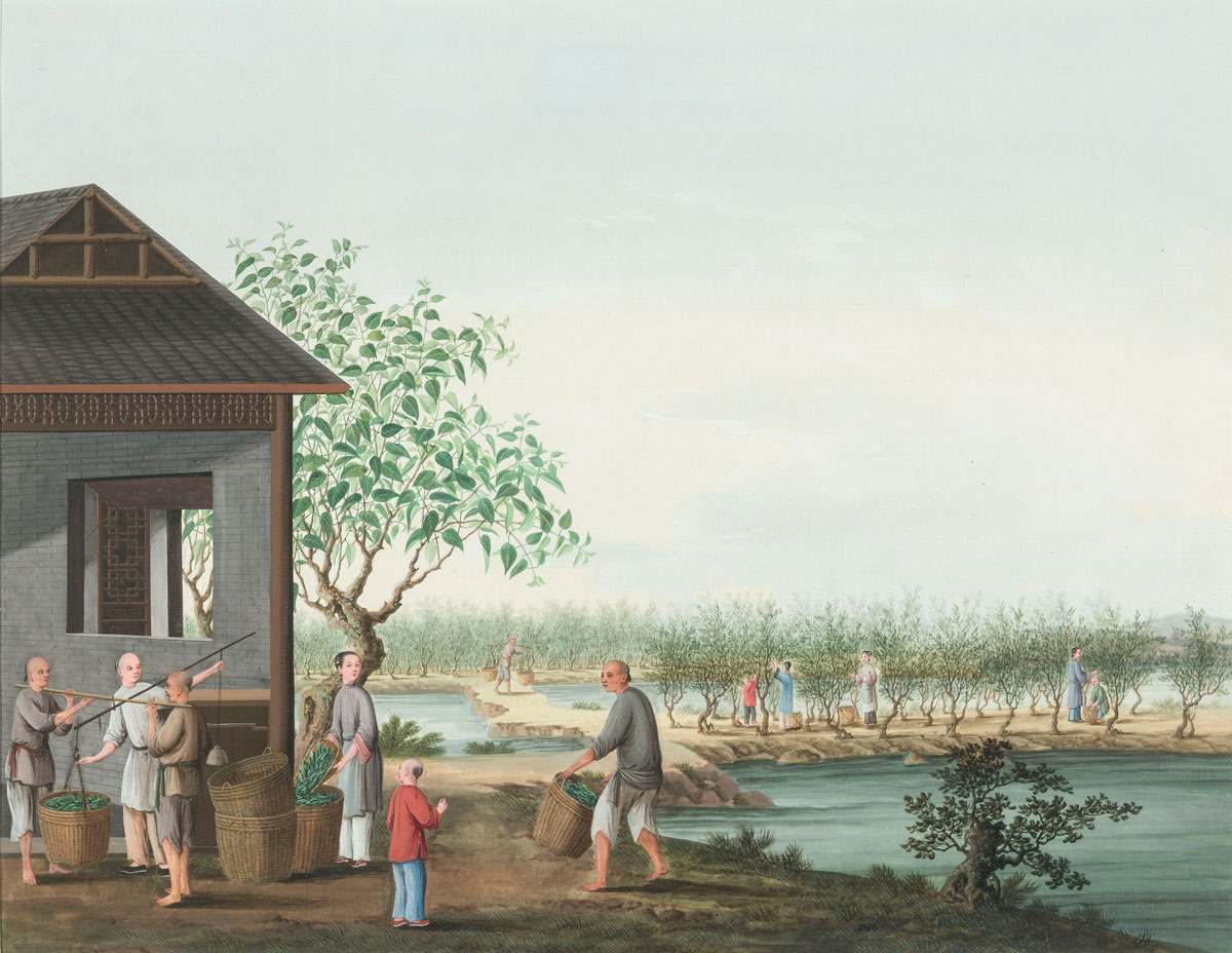 Silk production