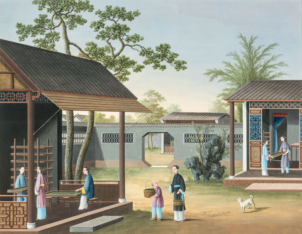 Silk production
