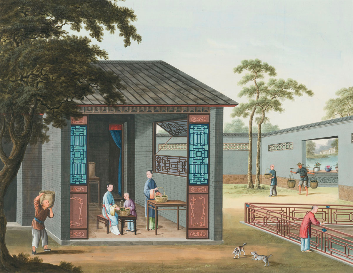 Tea production