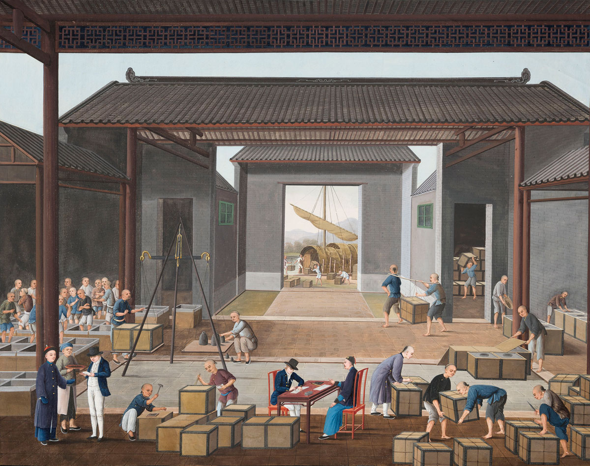Tea production